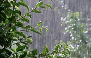 کاهش 31درصدی بارشها در آذربایجانشرقی کاهش 31درصدی بارشها در آذربایجانشرقی