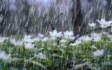 دمای هوای آذربایجان شرقی کاهش می‌یابد
