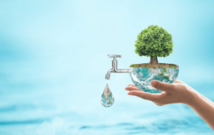 قطراتی که این‌روزها حکم طلا دارند